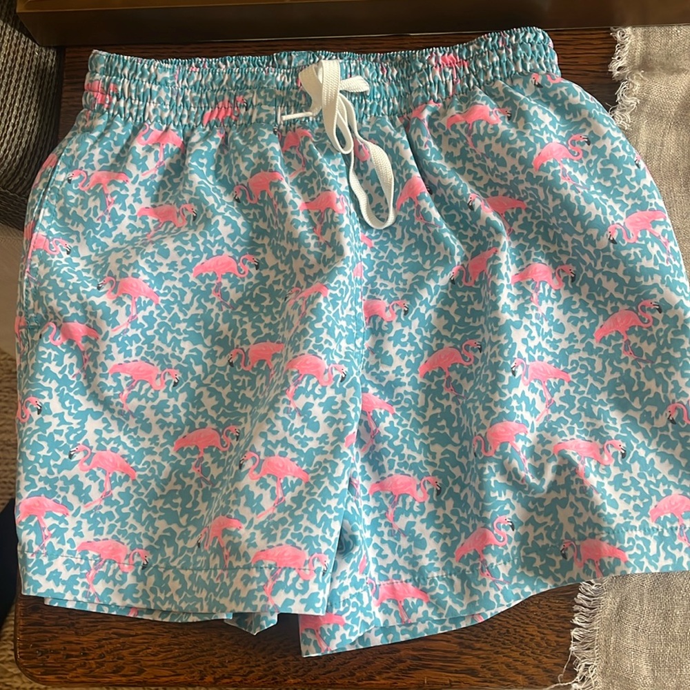 Chubbies bathing suit